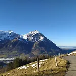 Bergengel Scharnachtal