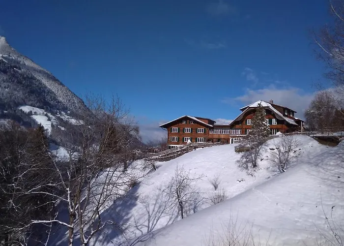 Bergengel Scharnachtal