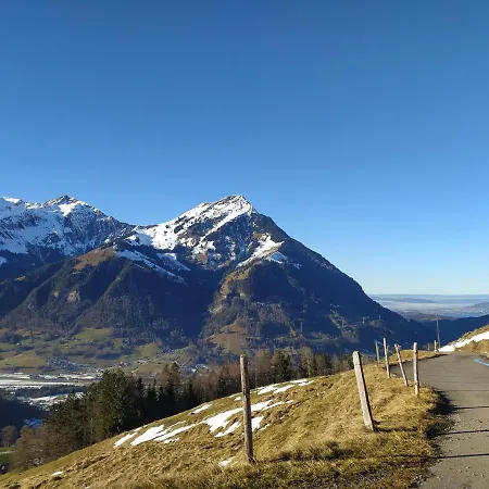 Bergengel Scharnachtal